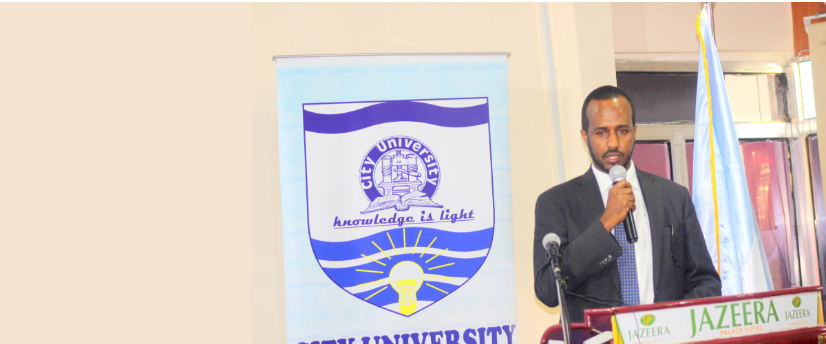 human capital development somalia