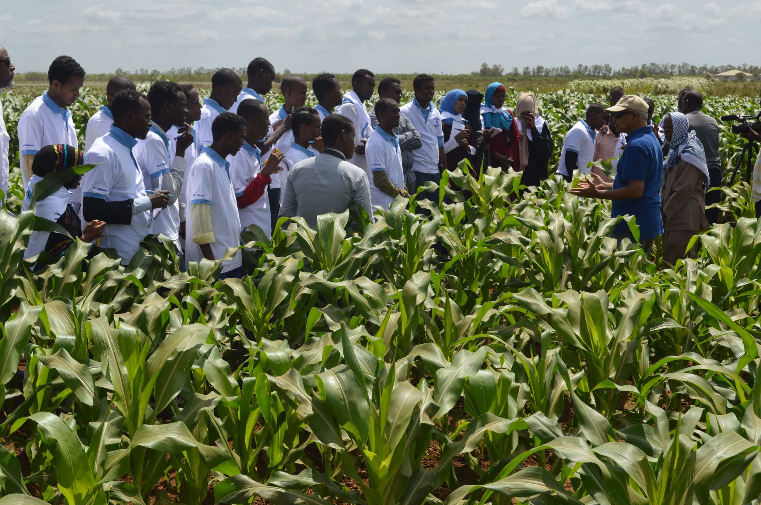 human capital development somalia